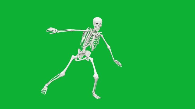 Human skeleton dancing dynamically isolated on a green screen background for chroma key compositing