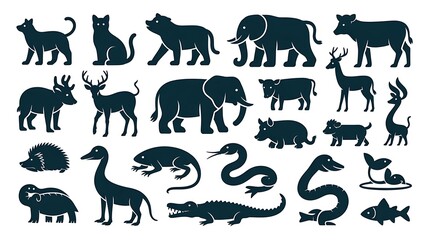 Obraz premium wild animals collection
