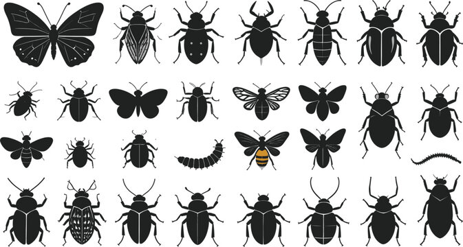 Insects and Beetles Black Silhouette Vector Set with Butterfly Bee Bug and Caterpillar Elements for Nature Entomology Biology and Logo Designs