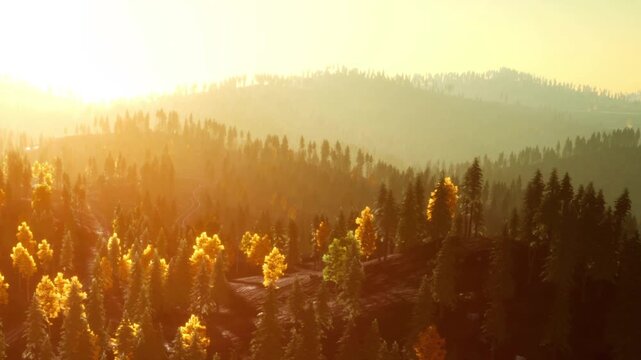 Light shines on forested hills with some trees showing autumn colors. The sun rises in the sky, creating shadows on the ground. This is a morning scene in nature.