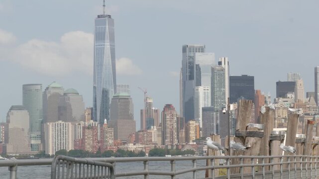 New York City Manhattan Downtown skyline from Liberty Island, United States. Financial District cityscape, World Trade Center skyscraper tower. Building architecture and wooden pier, seagull birds.