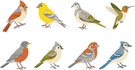 Collection of bird illustrations featuring colorful songbirds and small species in natural posesCollection of bird illustrations featuring colorful songbirds and small species in natural poses © Sheikh
