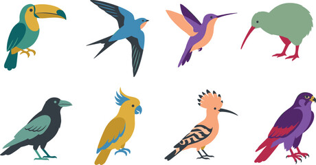 Collection of exotic bird illustrations featuring colorful species in flight and perched poses © Sheikh