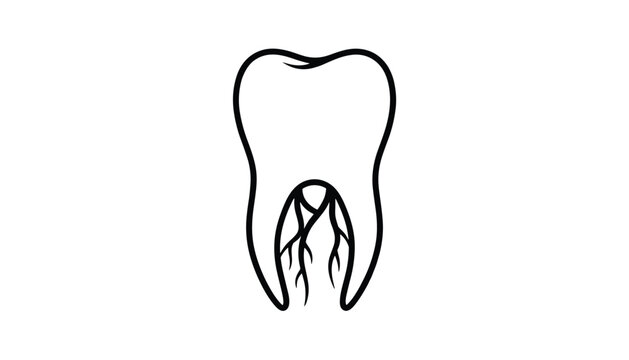 Detailed line drawing of a human tooth showing the internal root structure, root canals, and nerve endings on a plain background.