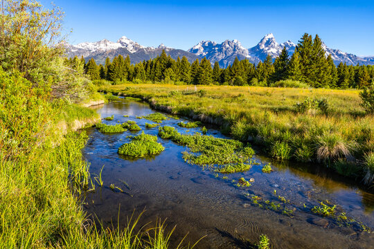 Blacktail Ponds Overlook of the Grand Teton Range at Sunrise