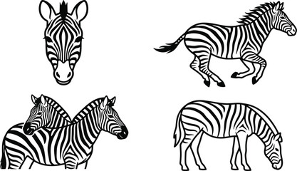 Obraz premium Hand Drawn Zebra Illustration Set with Portrait Head, Running Stallion, Grazing Zebra, and Mare with Foal Wildlife Outline Vector Collection