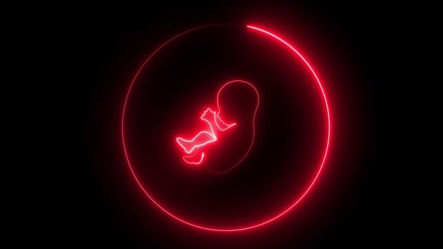 neon human baby icon , Human Development, and Maternity in a Circular Womb Design on black Background.