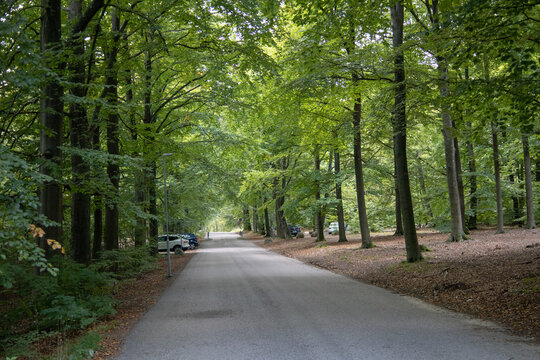 Autumn Landscape at Galgberget Park in Halmstad, Sweden