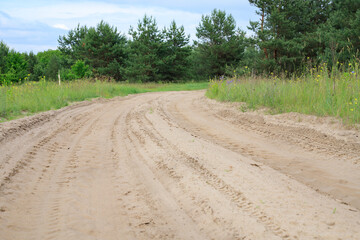 Fototapeta premium Sandy country road through a field turns into the forest. Dirt road stretches past a pine forest under an overcast sky