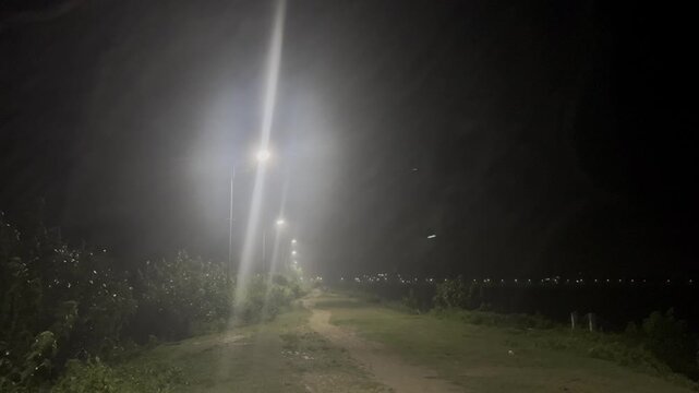 Path Lit By Streetlights At Night