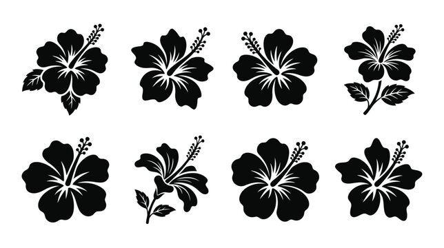 Set of black hibiscus flower icons and botanical silhouettes