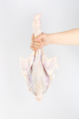 Fresh Whole Raw Chicken Held by Hand - Farm Raised Local Poultry Food Preparation © VuVan