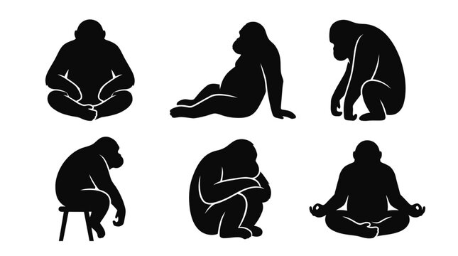 Set of black gorilla silhouettes in different sitting and resting poses