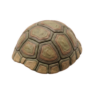 Isolated detailed tortoise shell texture