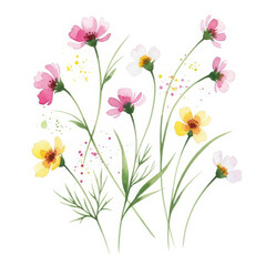 Naklejka premium A bouquet of colorful flowers on a white background