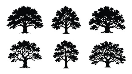 Fototapeta premium Set of six black oak tree silhouettes with detailed branches and foliage
