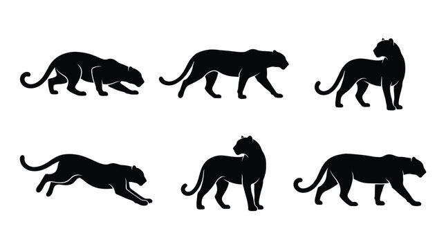 Set of black panther silhouettes in different walking and running poses