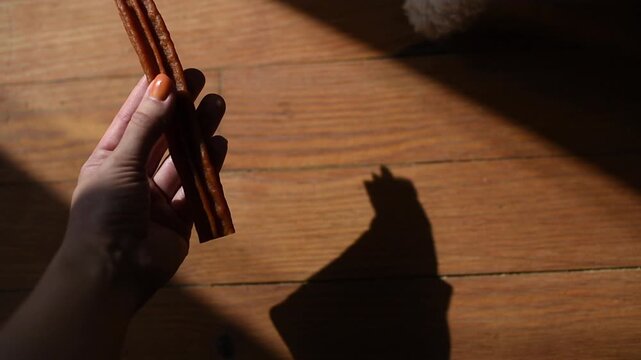 A person's hand offers a brown meat stick treat to a white Bichon Frise dog. The pet takes the snack over a wooden floor inside a home.