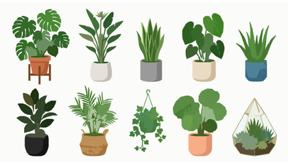 Modern Houseplant Collection Flat Vector with Decorative Indoor Plant Pots © Wahida