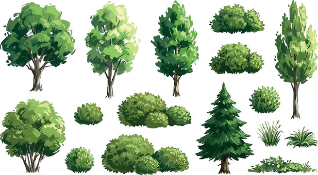 Set of various green trees and shrubs isolated on white background