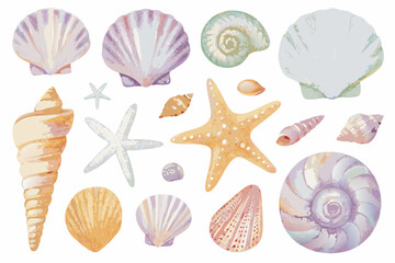 Watercolor seashell collection with various spiral and fan shaped marine mollusks © Shuvra Majumder