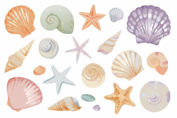 Watercolor seashell collection on a white background featuring various marine mollusk shells and starfish © Shuvra Majumder