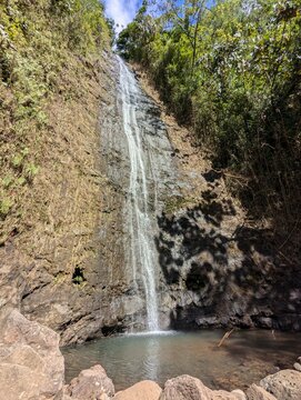 Beautiful waterfall surrounded by lush tropical greenery on the Manoa Falls trail on a sunny day. A tall, thin waterfall drops from a high cliff into a natural plunge pool. Lush Hawaiian rainforest.
