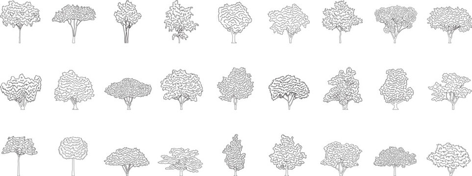 Flowering tree collection, line art, blueprint, landscape, architectural plant, CAD, elevation, front view, floor plan, symbol, customizable, vector, illustration