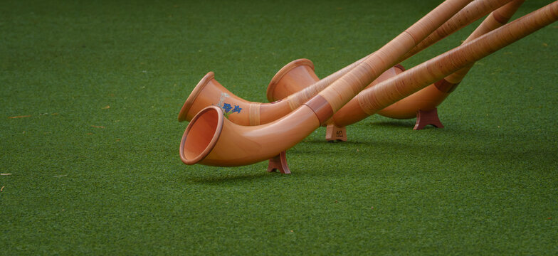 Traditional Swiss alphorns (Alpenhorn) resting on bright green grass. Perfect for concepts of Swiss culture, traditional music, Alpine/Swiss heritage, and folk instruments. National symbol of Swiss.