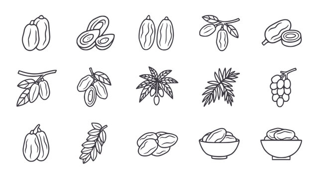 Date Fruit Icon Set - Fresh & Dried Tropical Delicacies