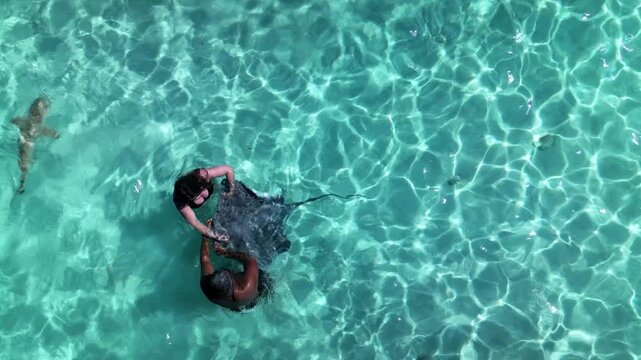 Aerial view of people feeding stingrays in bora bora lagoon