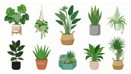 Modern Indoor Green Plants in Decorative Pots Flat Vector Collection © abdul