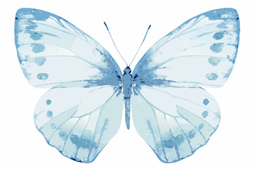 Blue Watercolor Butterfly Illustration With Detailed Wing Patterns And Soft Tones © Anik