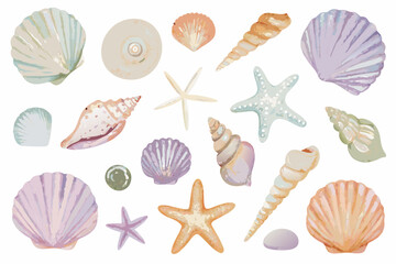 Watercolor seashell collection on a white background featuring various marine mollusk shells and starfish © Anik