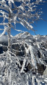 Hiking to Debela pec peak in SLovenia