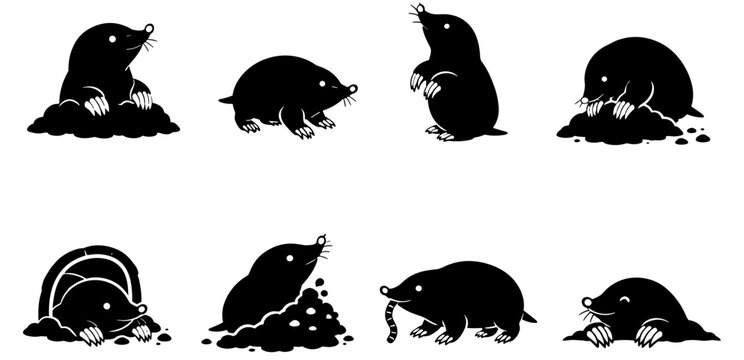 Creative silhouette collection showing moles in different poses, ideal for wildlife, nature, education, gardening, and animal themed illustrations.