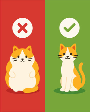 Pet obesity comparison with overweight cat versus healthy cat flat vector illustration