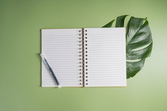Blank open notebook with pen on green background and tropical leaf, copy space for notes