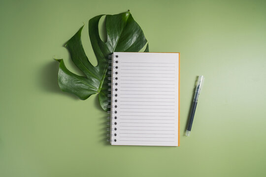 Blank spiral notebook with pen on green background and tropical leaf, copy space for notes