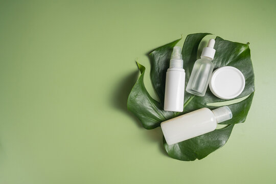Natural skincare products on monstera leaf with green background, botanical clean beauty concept