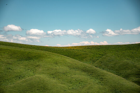 landscape with green grass and blue sky