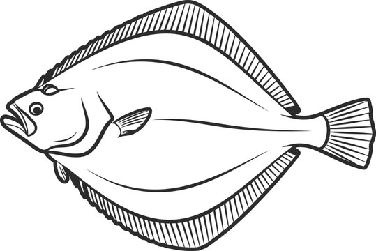 Silhouette vector flatfish illustration isolated on a white background design