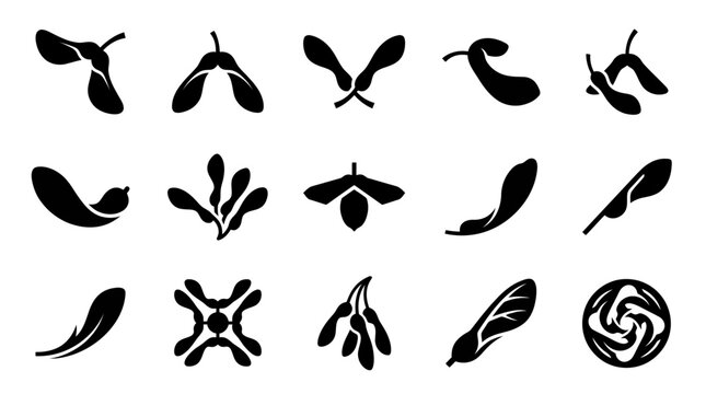 Collection of Black Maple Seed Samara Icons