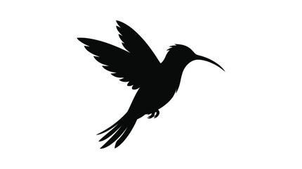 Fototapeta premium Hummingbird In Flight Black Silhouette Against White Background