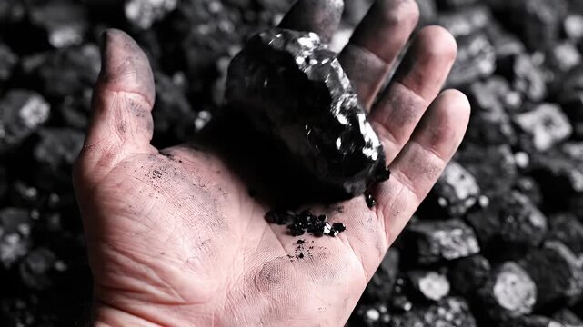 Soiled hand holding large lump of black coal.