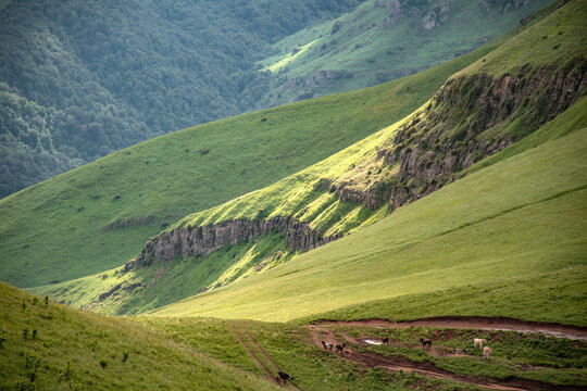 green valley in the mountains