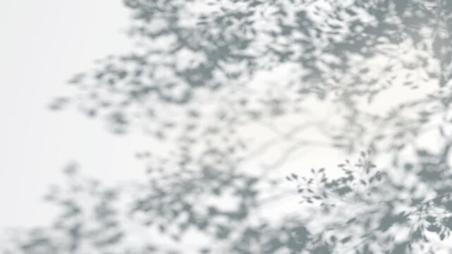 Abstract shadow tree crown branches on wind background, looped animation, 3d rendering. Foliage shadiness with sunlight overlaytexture blur movenement, 4k. Swaying bush branch motion template.