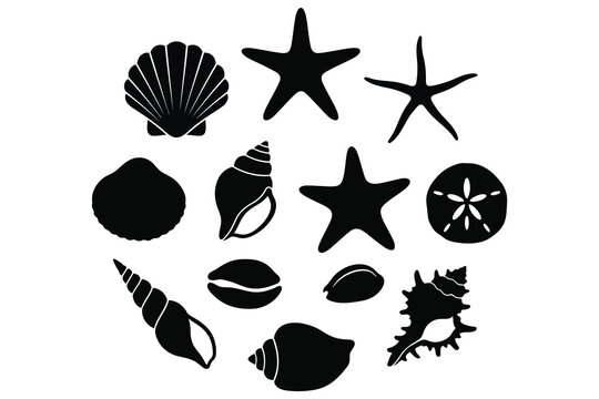 Black and white collection of various seashells and starfish icons on transparent background
