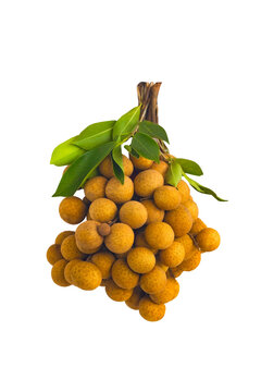 Bunch of tropical longan fruit isolated on white background