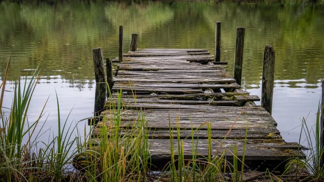 Weathered Abandoned Wooden Dock on Calm Lake with Reeds and